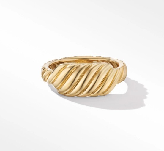 Customized Logo Gold Plated David Cable Wave Men's Stainless Steel Rings